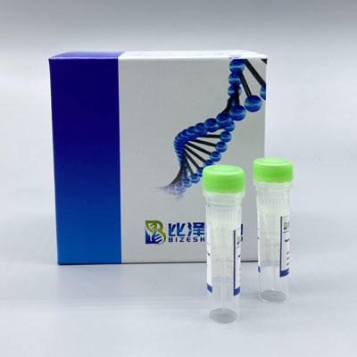Recombinant Dog IL17A  Protein ,His Tag