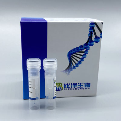 Recombinant Mouse VEGF  Protein ，His Tag