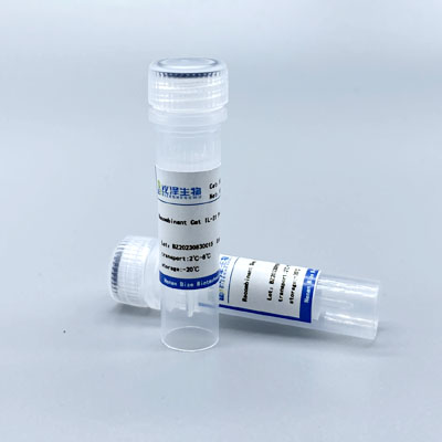 Recombinant Human OSM Protein,His Tag