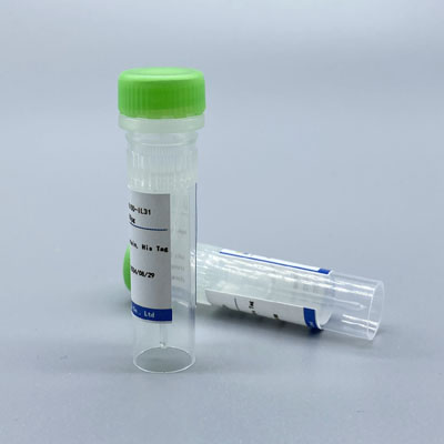 Recombinant Cat RANKL Protein,His Tag