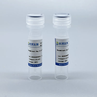 Recombinant Human c-Kit Protein ，His Tag