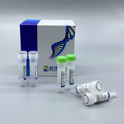Recombinant Cat PD-1 Protein，His Tag