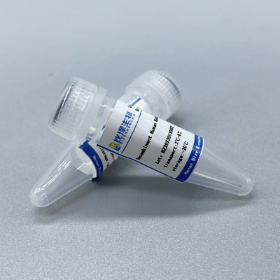 Recombinant Cynomolgus PD-1 Protein，His Tag