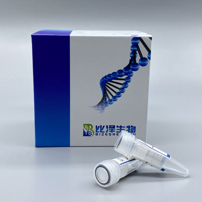Recombinant Cynomolgus CD20 Protein ，His Tag